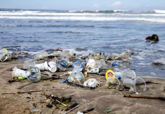 WWF alerte | Trop de plastique sur les plages tunisiennes