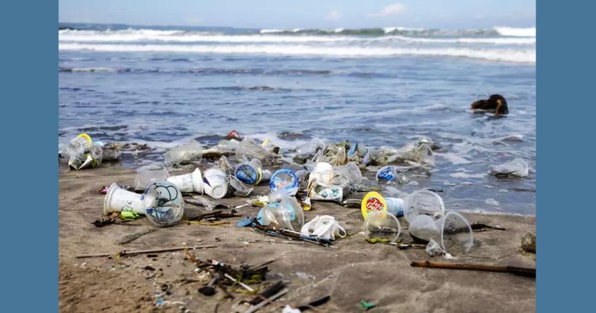 WWF alerte | Trop de plastique sur les plages tunisiennes
