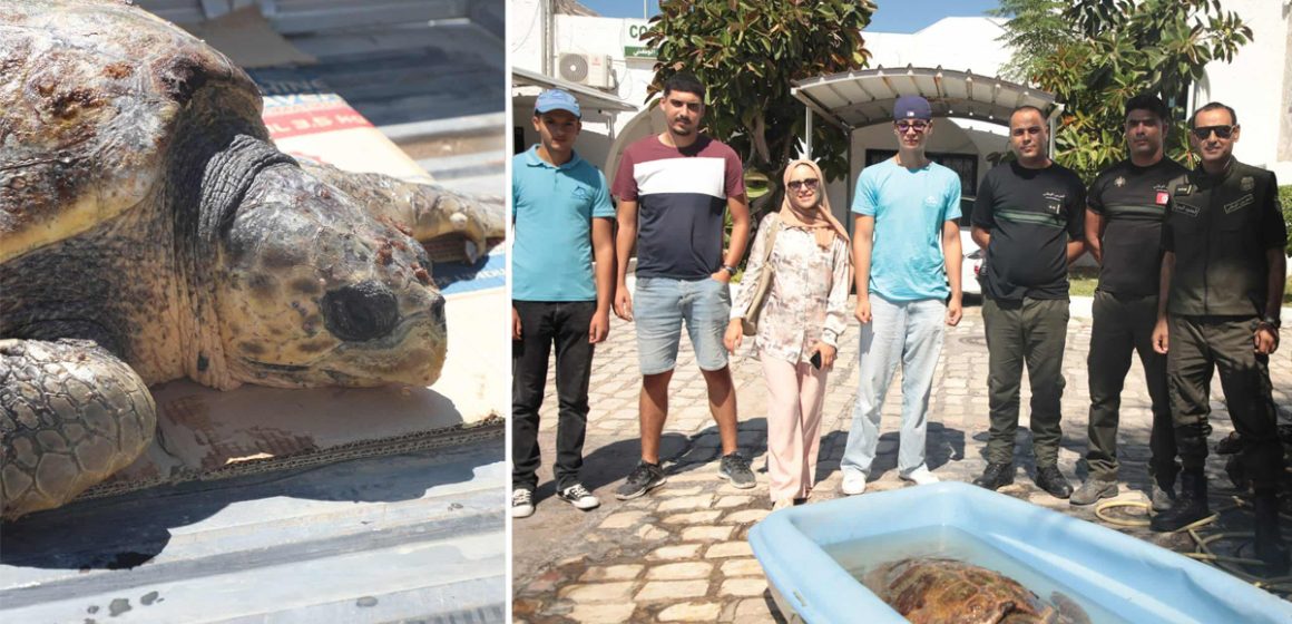 Notre Grand Bleu | Wadhah, la tortue marine sauvée par la GN d’El-Kantaoui
