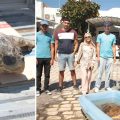 Notre Grand Bleu | Wadhah, la tortue marine sauvée par la GN d’El-Kantaoui