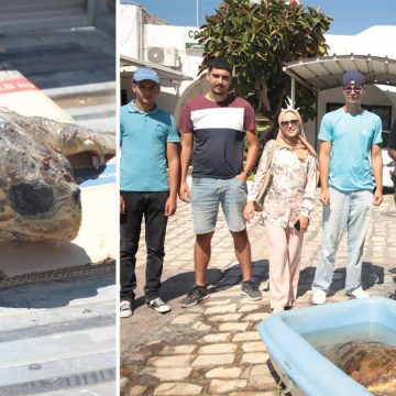 Notre Grand Bleu | Wadhah, la tortue marine sauvée par la GN d’El-Kantaoui