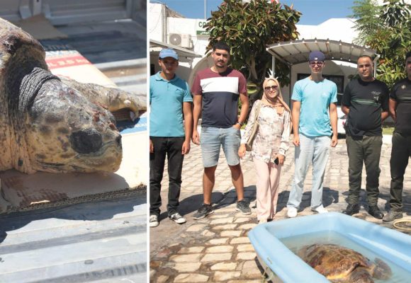 Notre Grand Bleu | Wadhah, la tortue marine sauvée par la GN d’El-Kantaoui