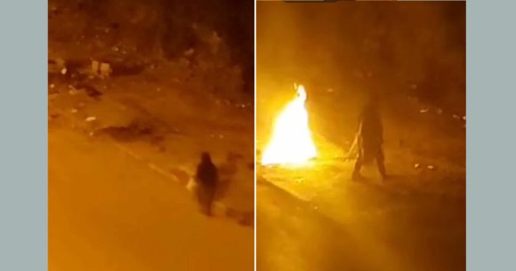 Tunis | Verdict dans l’affaire des chats brûlés vifs