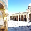 La mosquée Zitouna de Tunis au registre du patrimoine architectural arabe