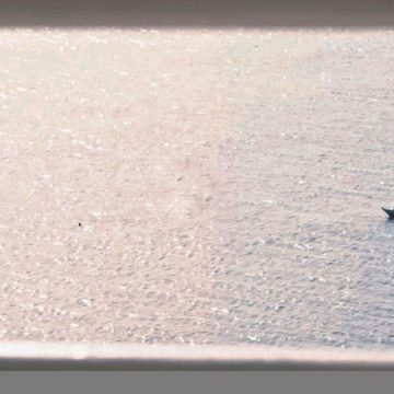 Au croisement des migrations entre la Sardaigne et la Tunisie