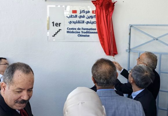La médecine traditionnelle chinoise à la conquête de l’Afrique