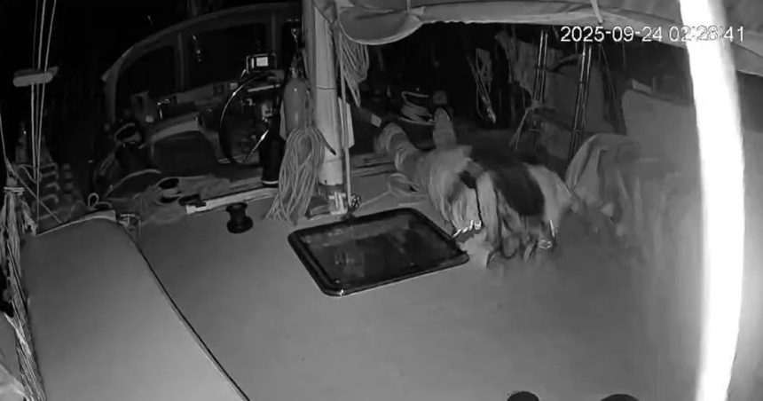 La Global Sumud Flotilla, en route pour Gaza, attaquée par des drones