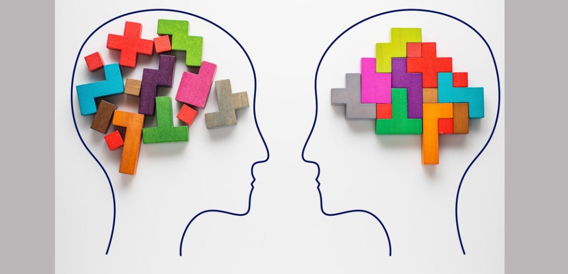 Les différents types d’intelligence | Regards croisés des sciences sociales