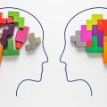 Les différents types d’intelligence | Regards croisés des sciences sociales