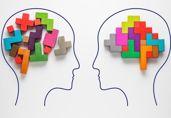 Les différents types d’intelligence | Regards croisés des sciences sociales