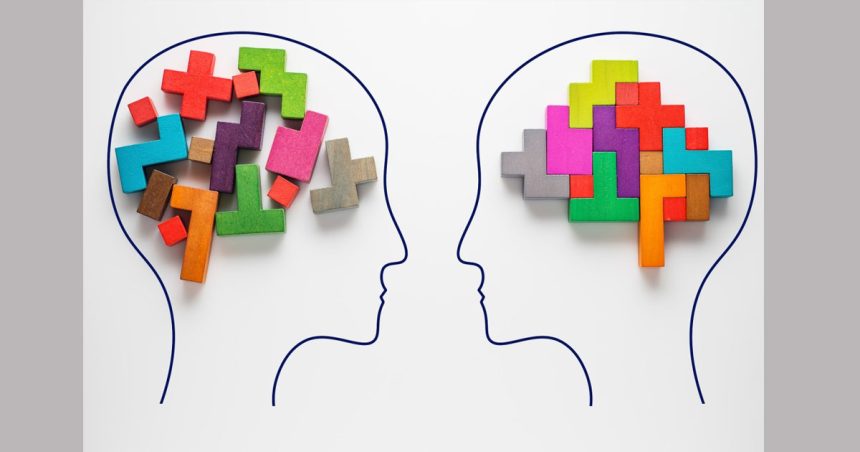 Les différents types d’intelligence | Regards croisés des sciences sociales