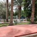 Kairouan inaugure un jardin public durable et inclusif