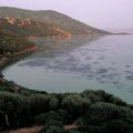 Tunisie | Le parc d’Ichkeul affecté par le changement climatique