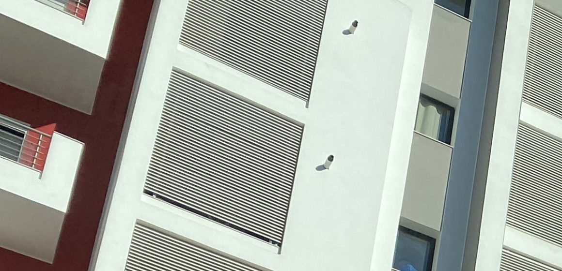 Logement individuel en Tunisie | Un cache‑cache qui alimente la flambée des prix