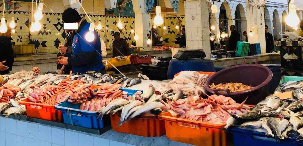 Sousse | Arrestation de trois grossistes de poisson pour spéculation