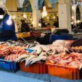 Sousse | Arrestation de trois grossistes de poisson pour spéculation