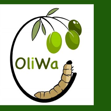 Oliwa révolutionne la valorisation des déchets d’olives en Méditerranée