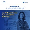 Les obstacles au développement des PME tunisiennes