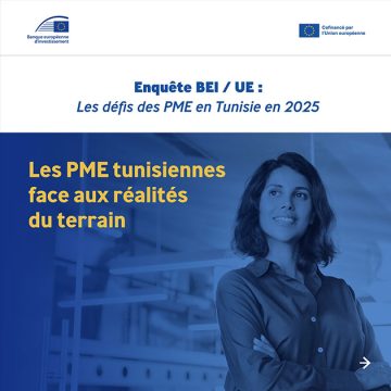 Les obstacles au développement des PME tunisiennes