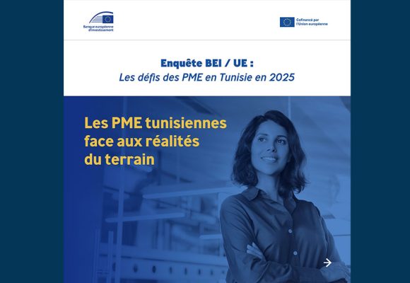 Les obstacles au développement des PME tunisiennes