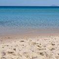 Ne reproduisons pas l’exemple de Coco Beach à Takelsa !