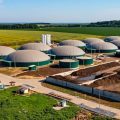 Tunisie | Le prix d’achat du biogaz auprès des producteurs