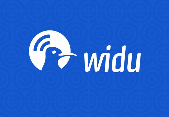Widu.africa | La diaspora tunisienne soutient les entrepreneurs depuis l’Europe
