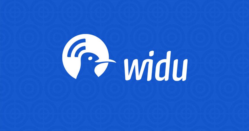 Widu.africa | La diaspora tunisienne soutient les entrepreneurs depuis l’Europe