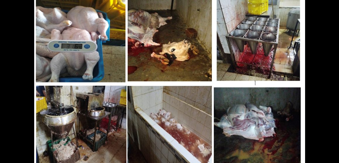 abattoirs anarchiques Saisie de plus de 3 tonnes de viandes impropres à la consommation