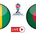 Algérie vs Guinée en live streaming : Éliminatoires pour la Coupe du monde