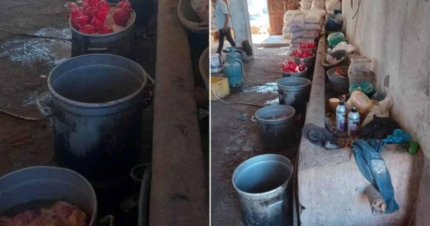 saisie Bizerte INSSPA | Saisie de plus 13 tonnes de produits alimentaires à Bizerte