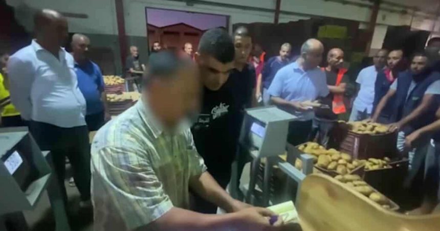 Tunisie | Des barons de la spéculation visés par des mandats de dépôt