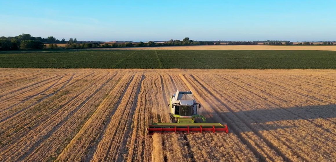 En finir avec les navets économiques d’un pays schizophrène