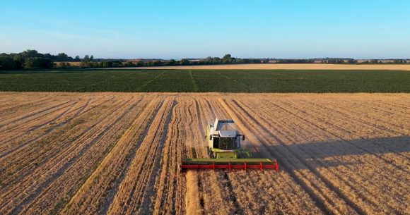 En finir avec les navets économiques d’un pays schizophrène