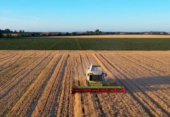 En finir avec les navets économiques d’un pays schizophrène