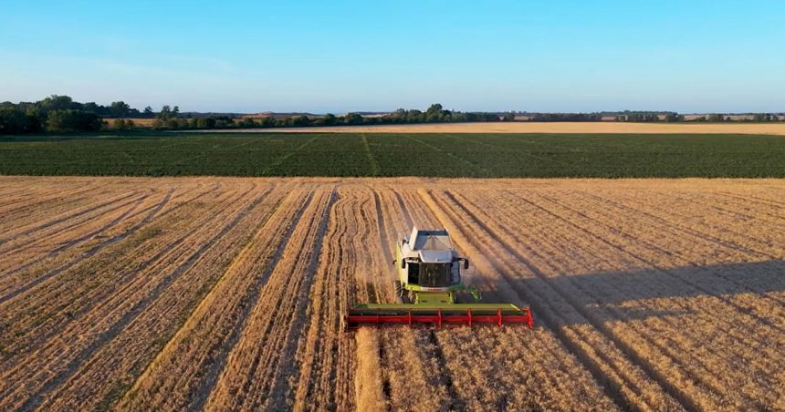 Agriculture-11 En finir avec les navets économiques d’un pays schizophrène