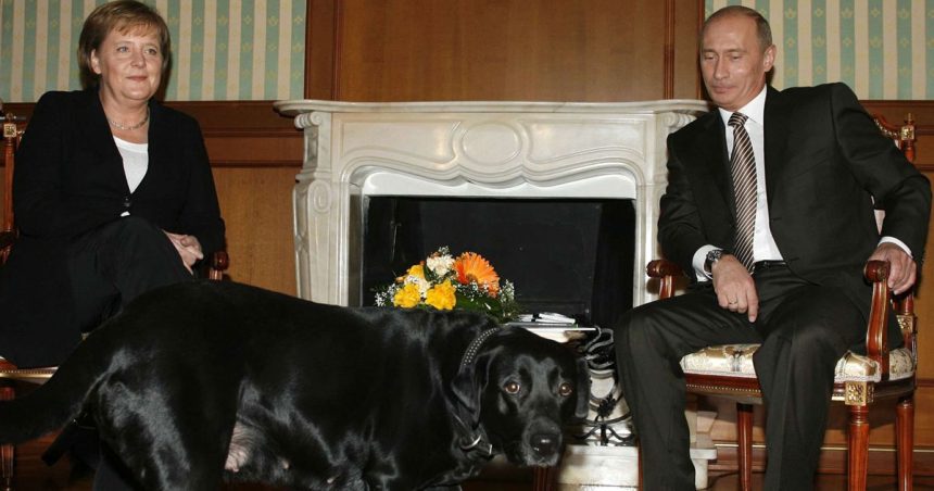 Russie – Ukraine | Angela Merkel et la mauvaise foi de l’Occident 