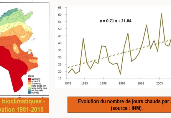 Atelier sur le plan tunisien d’adaptation (PNA) aux changements climatiques