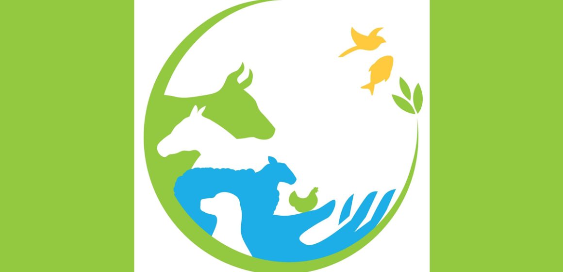 DGSV | Concours « L’art contre la résistance aux antimicrobiens »