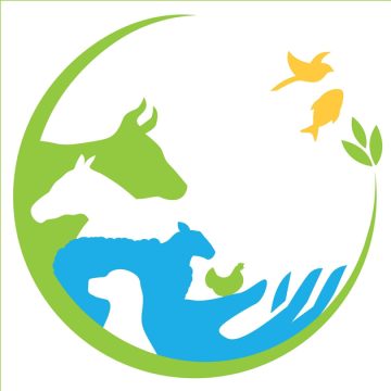 DGSV | Concours « L’art contre la résistance aux antimicrobiens »