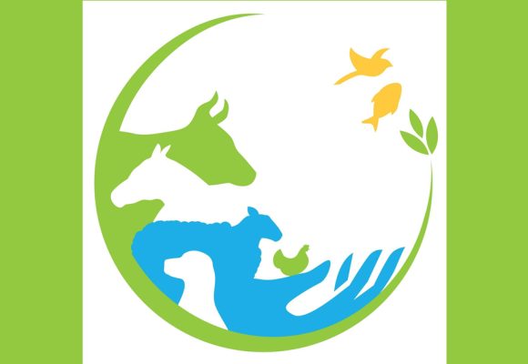 DGSV | Concours « L’art contre la résistance aux antimicrobiens »