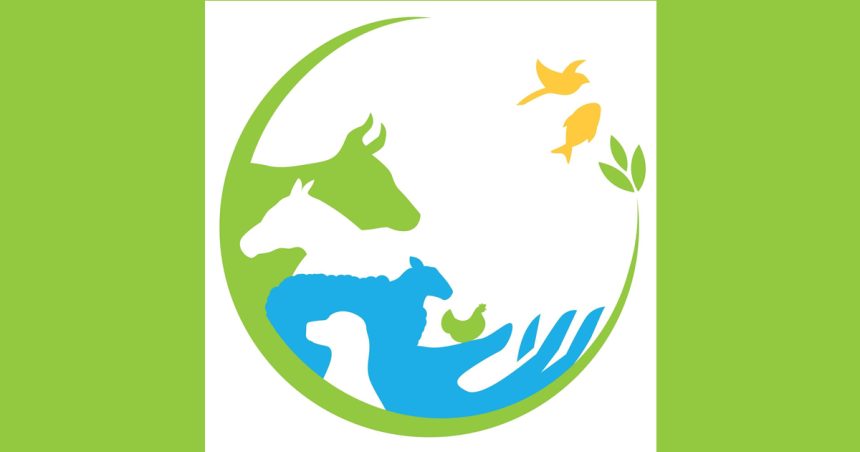 DGSV | Concours « L&rsquo;art contre la résistance aux antimicrobiens »