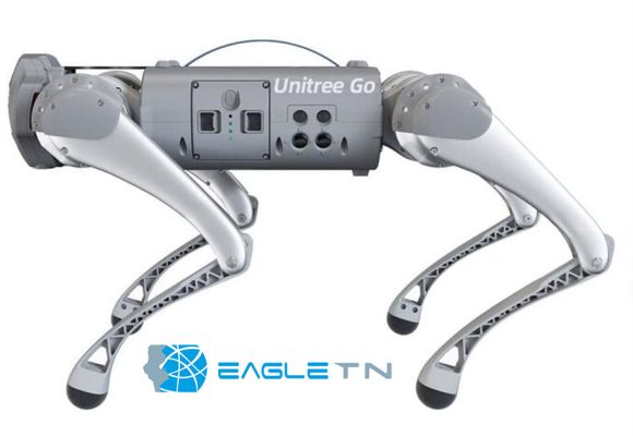 Eagleprojects ouvre une nouvelle succursale en Tunisie