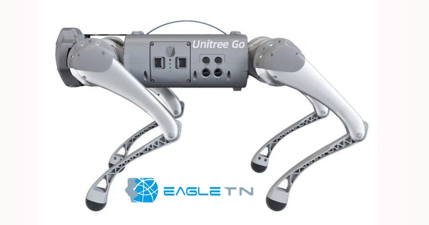 Eagleprojects ouvre une nouvelle succursale en Tunisie