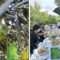 L’huile d’olive Oueslati devient une attraction touristique à Kairouan