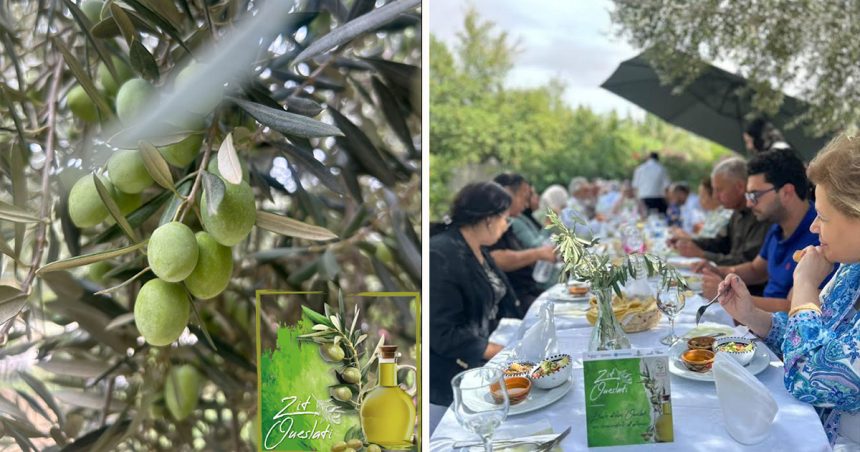 L’huile d’olive Oueslati devient une attraction touristique à Kairouan