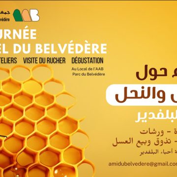 Jounrée du miel Belvéfère Journée du miel du Belvédère | Le goût de nature et de savoir