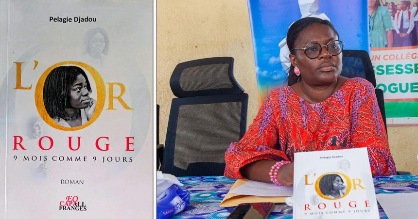 La maîtrise d’un premier roman ivoirien