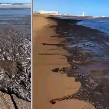 Plage-Chatt-Essalam-Pollution Le nettoyage du fond marin du Golfe de Gabès exige 2 à 3 ans