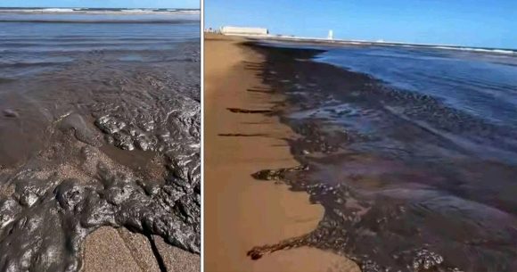 Plage-Chatt-Essalam-Pollution Le nettoyage du fond marin du Golfe de Gabès exige 2 à 3 ans